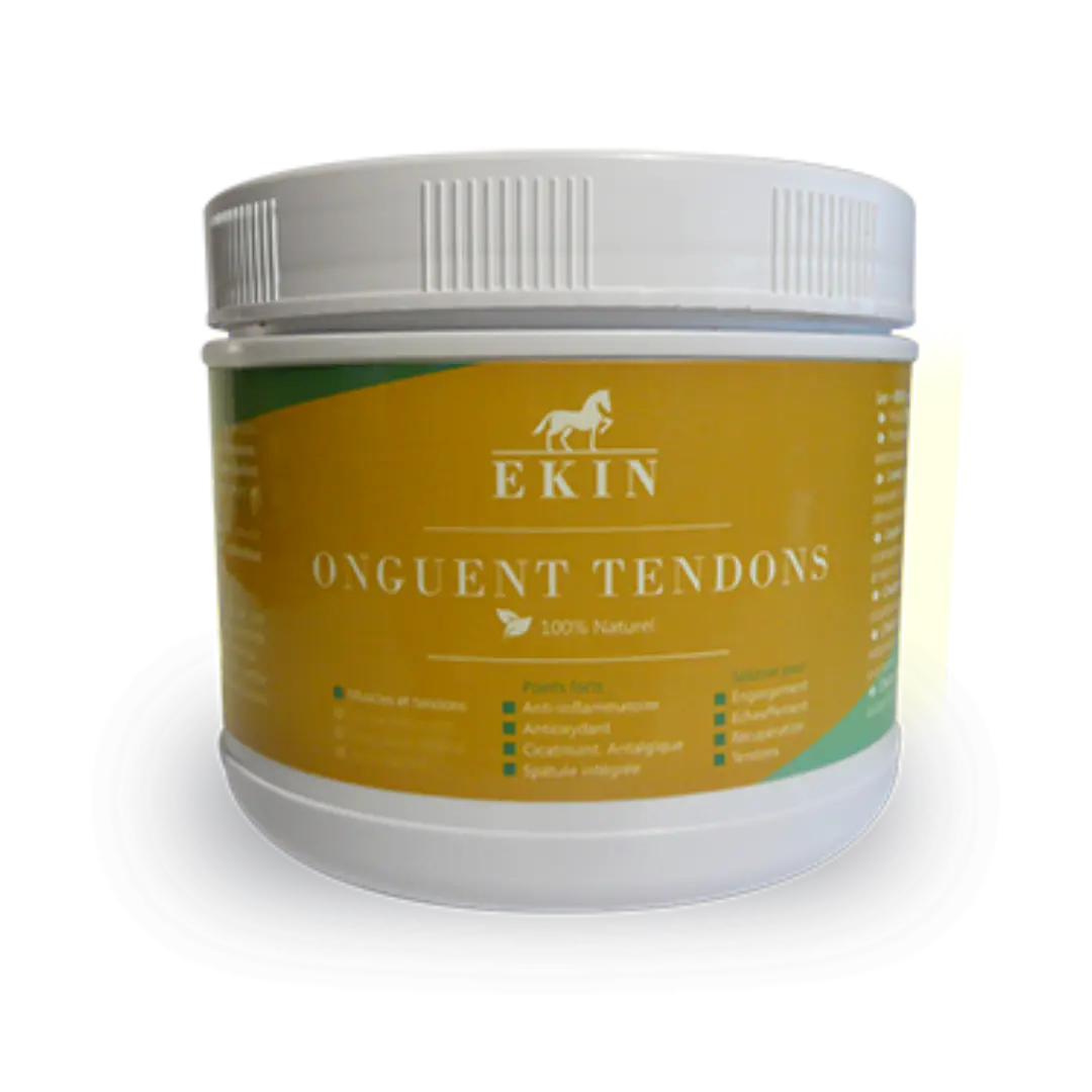 Onguent tendon ekin soulage naturellement les tendons du cheval après l'effort
