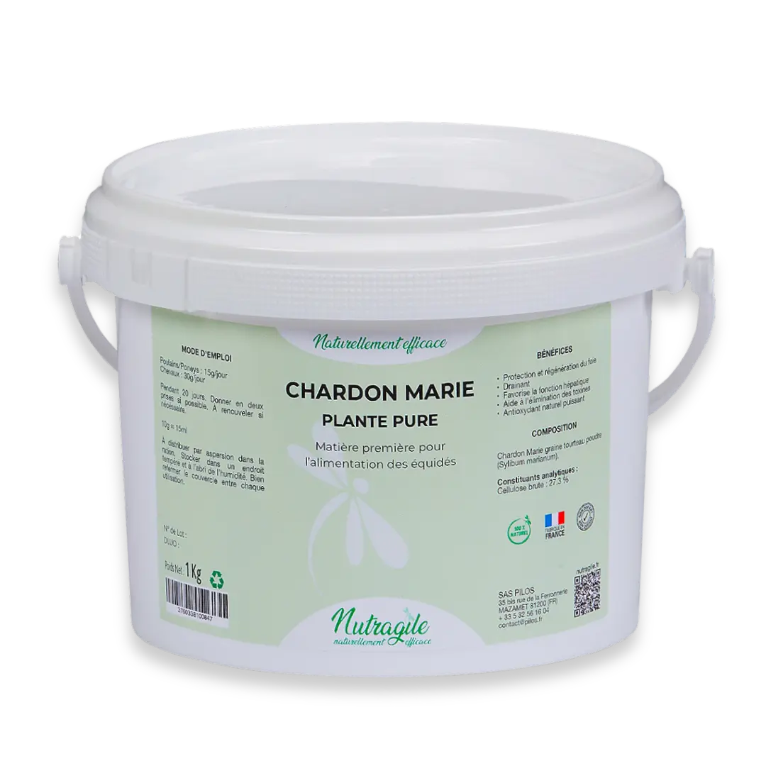 Chardon-marie, draine l'organisme du cheval, élimine les toxines et protège le foie