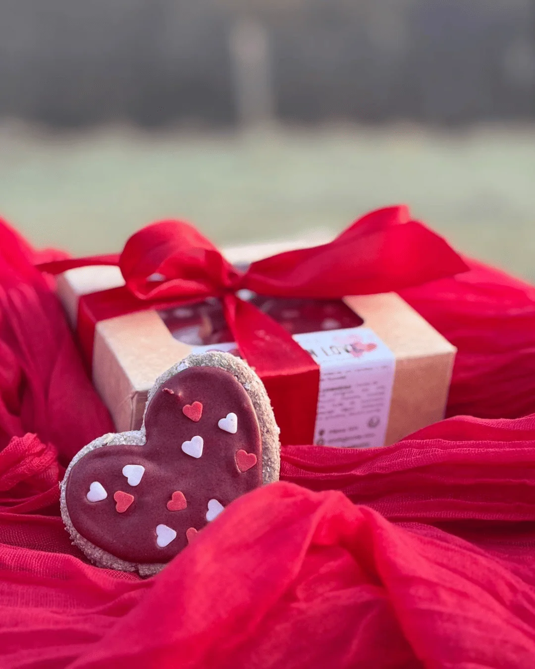 Coffret Saint‑Valentin composé de 16 friandises naturelles artisanales pour célébrer l'amour avec ton cheval