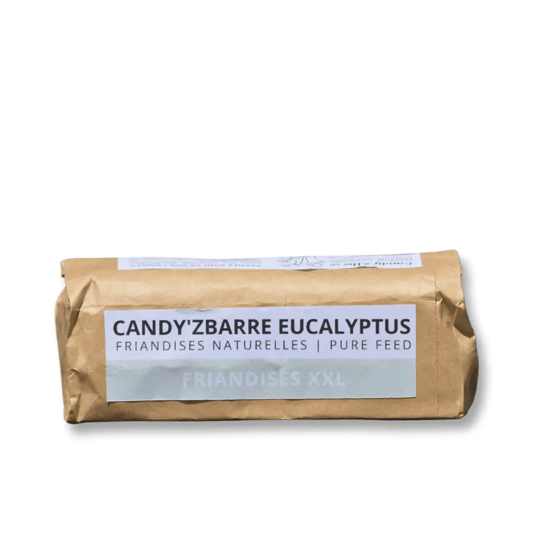 Candy'z barre Eucalyptus friandises XXL pour la respiration du cheval